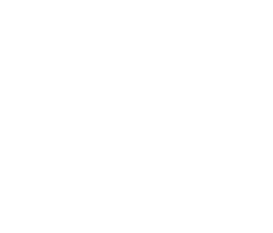 All Blacks Sevens Logo NEGATIVE